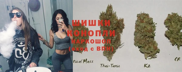 гидропоника Горнозаводск