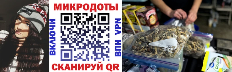 Галлюциногенные грибы GOLDEN TEACHER Купить Янаул